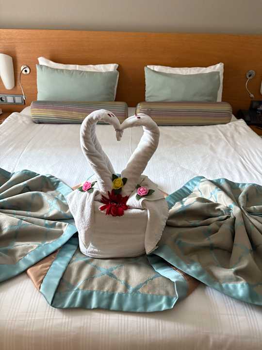 Zimmer Papillon Ayscha