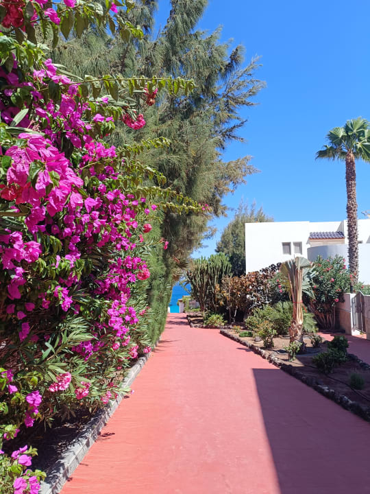 Gartenanlage Marina Playa Suite Hotel