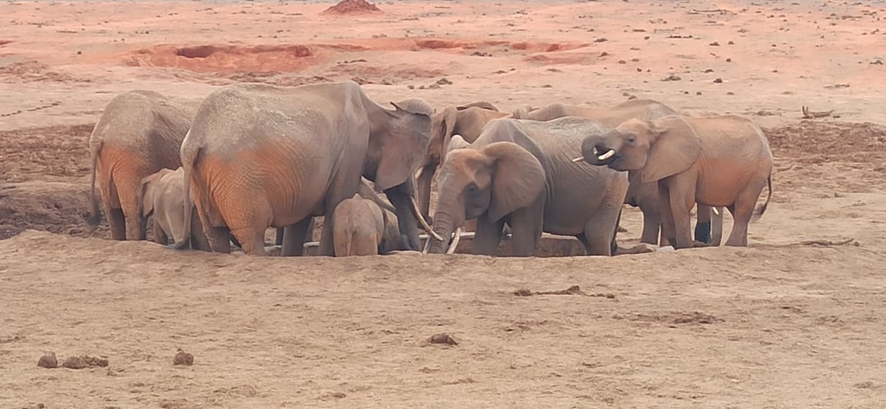 Sport & Freizeit Satao Camp