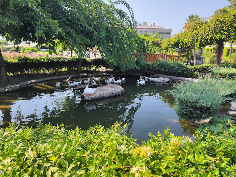 Gartenanlage Club Tuana Fethiye