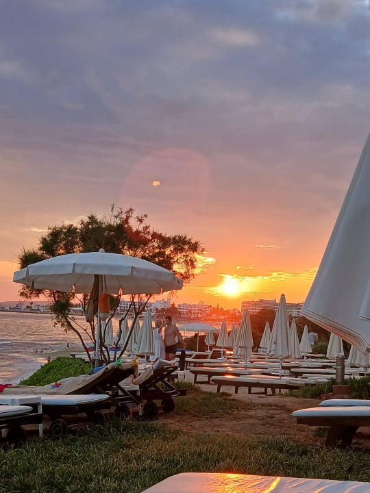 Gartenanlage Hotel Grecian Sands