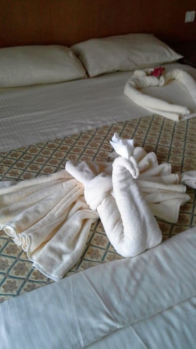 Kreation unseres Zimmerboys 5418 Pickalbatros Dana Beach Resort - Hurghada