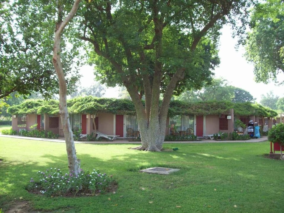 Bungalows im Garten Jolie Ville Kings Island Luxor