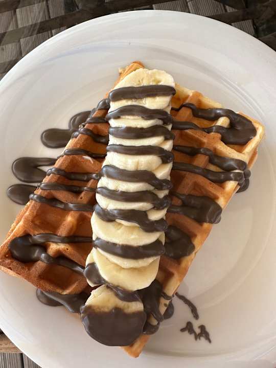 Strand Seashell Vega