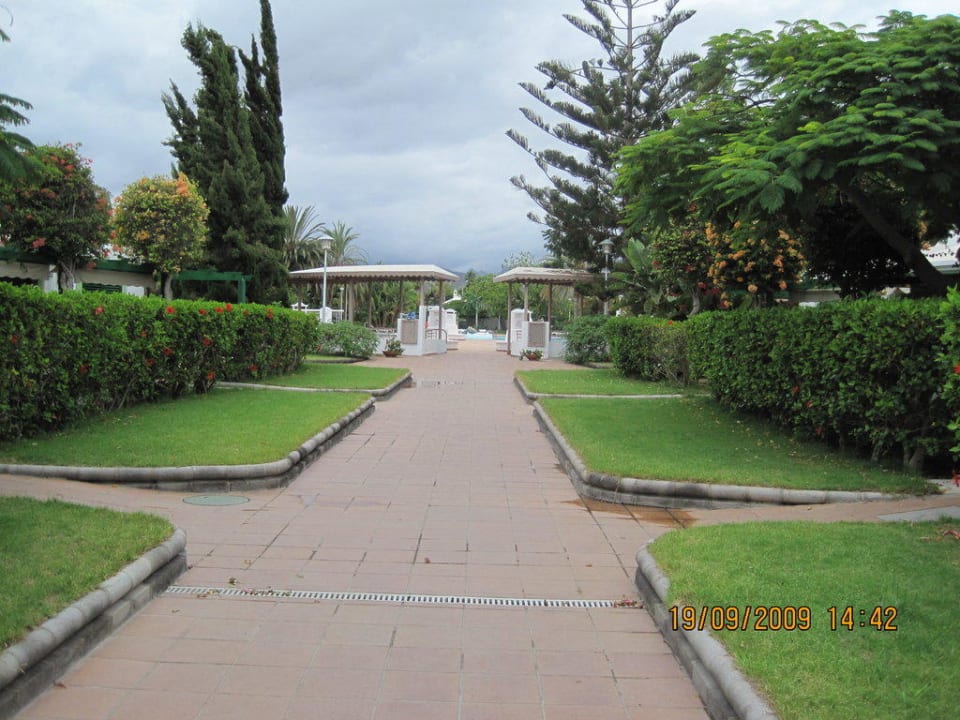 Weg zum Pool Bungalows Cordial Sandy Golf