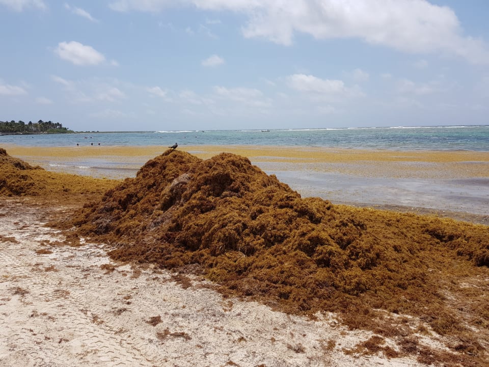Strand Akumal Bay Beach & Wellness Resort