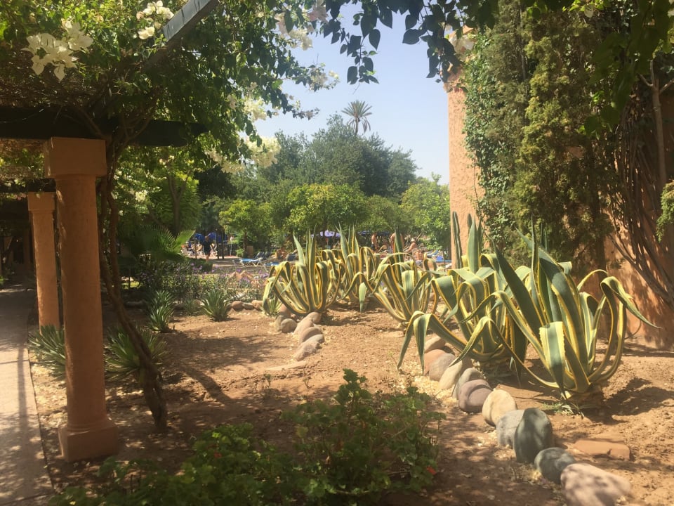 Gartenanlage Hotel Riu Tikida Garden - Adults Only