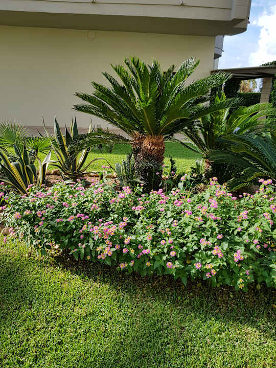 Außenansicht allsun App.-Hotel Orient Beach