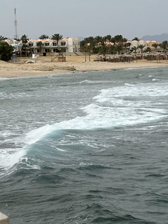 Strand Steigenberger Coraya Beach - Adults only