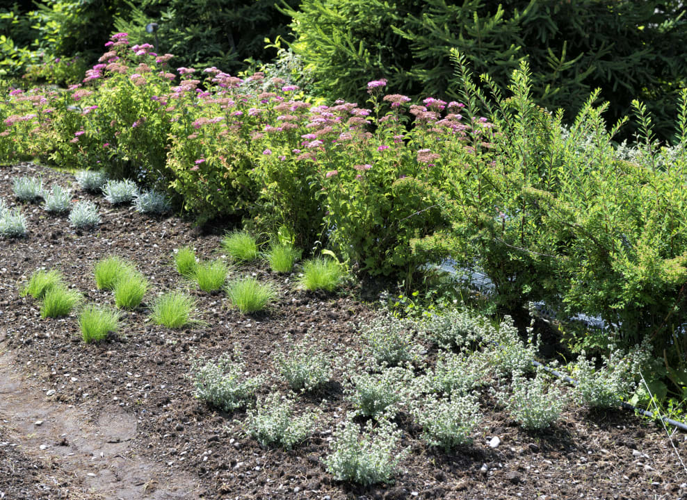 Gartenanlage Montana Lodge & Spa