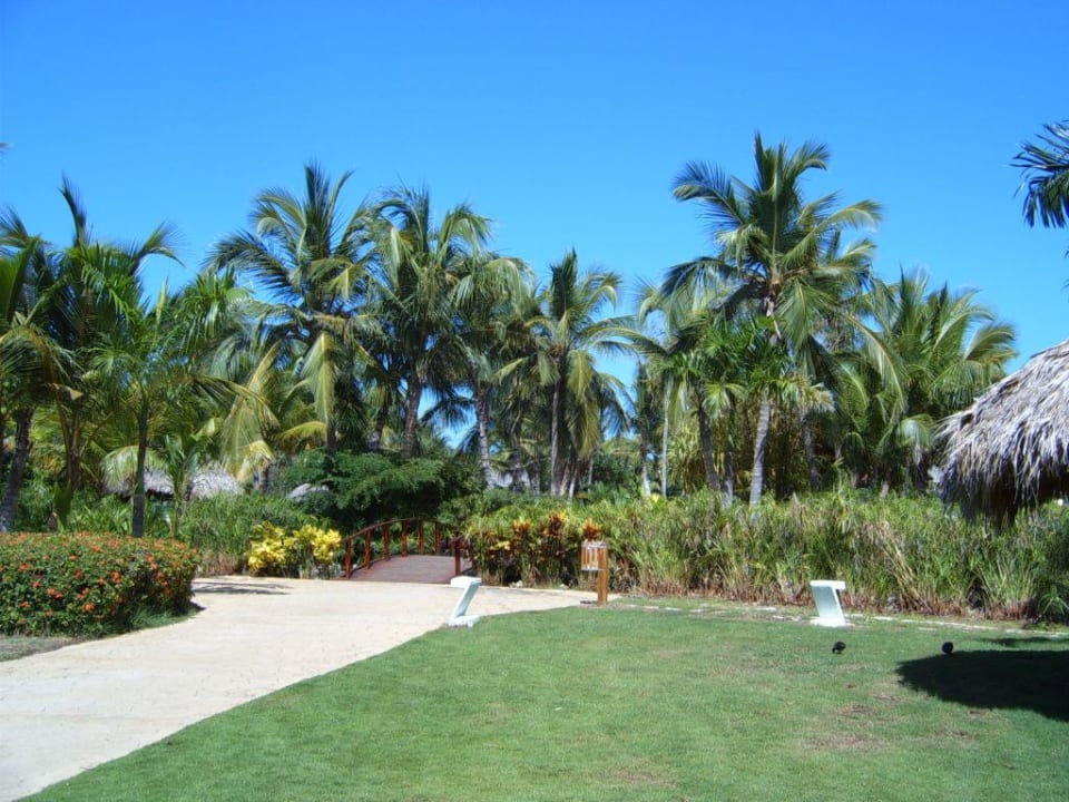 Hotelanlage Catalonia Punta Cana - All Inclusive