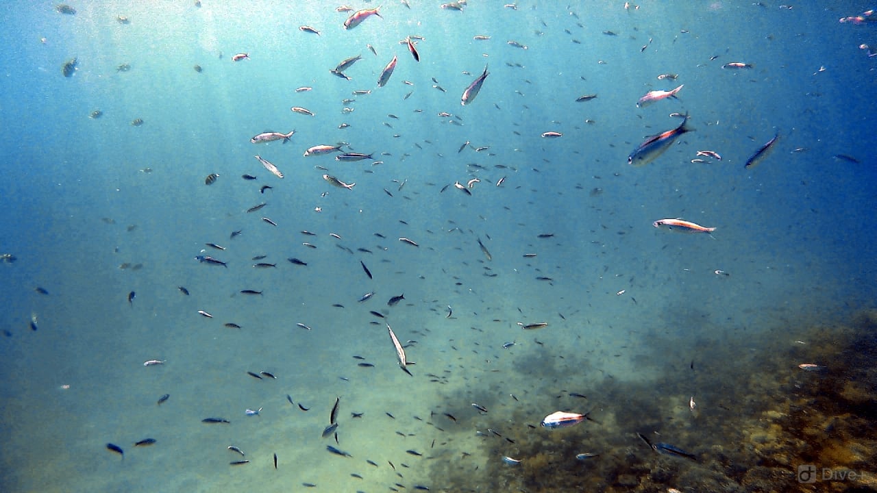 Strand Shams Alam Beach Resort