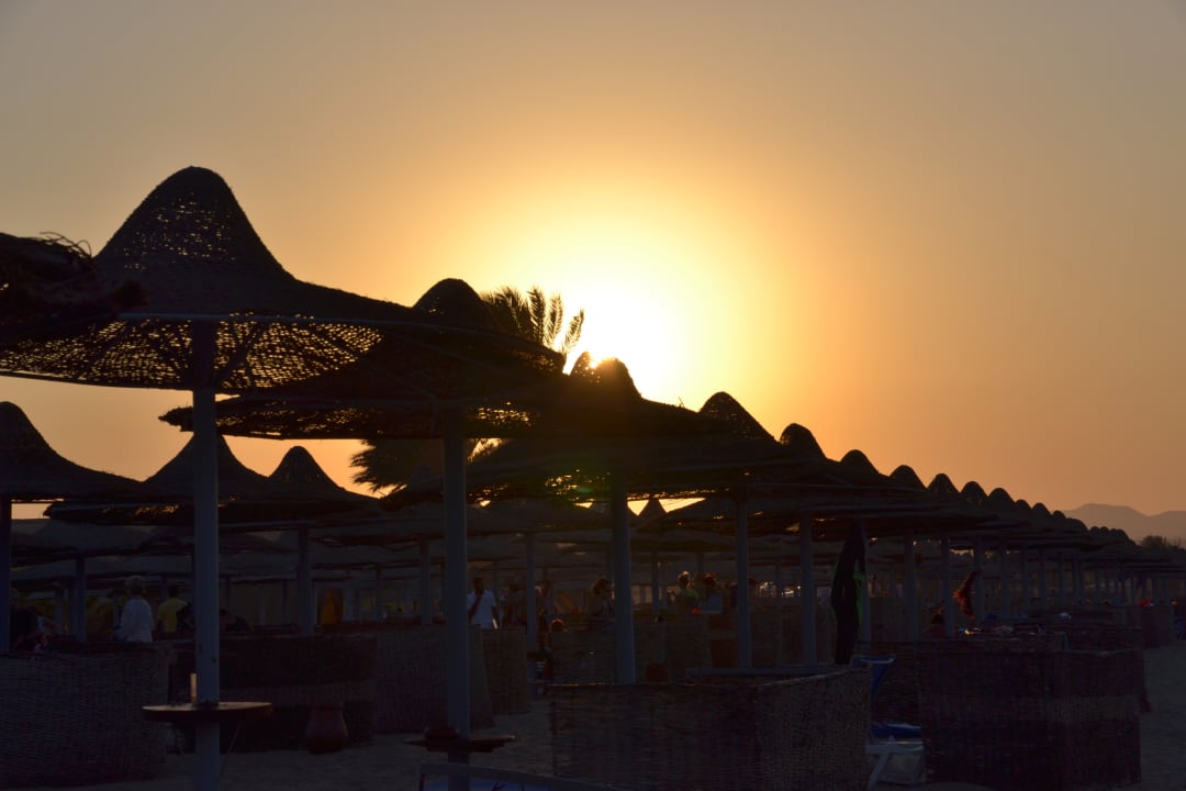 Strand Malikia Resort Abu Dabbab