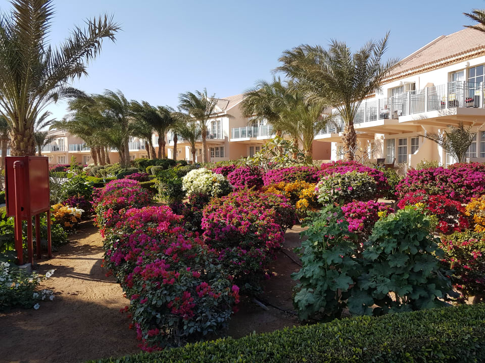 Gartenanlage Mövenpick Resort & Spa El Gouna