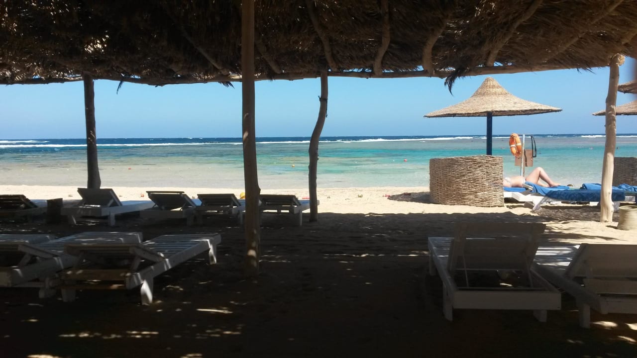 Wie im Traum Utopia Beach Club