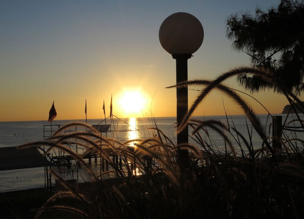 Sonnenaufgang am Strand Crystal Aura