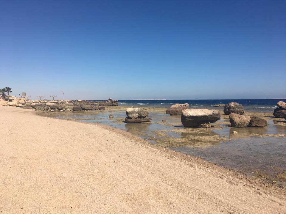 Strand Pickalbatros Citadel Resort