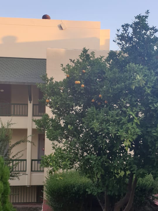 Gartenanlage Oz Hotels Incekum Beach