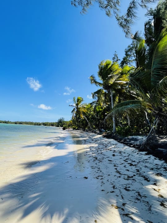 Strand Lopesan Costa Bávaro Resort, Spa & Casino