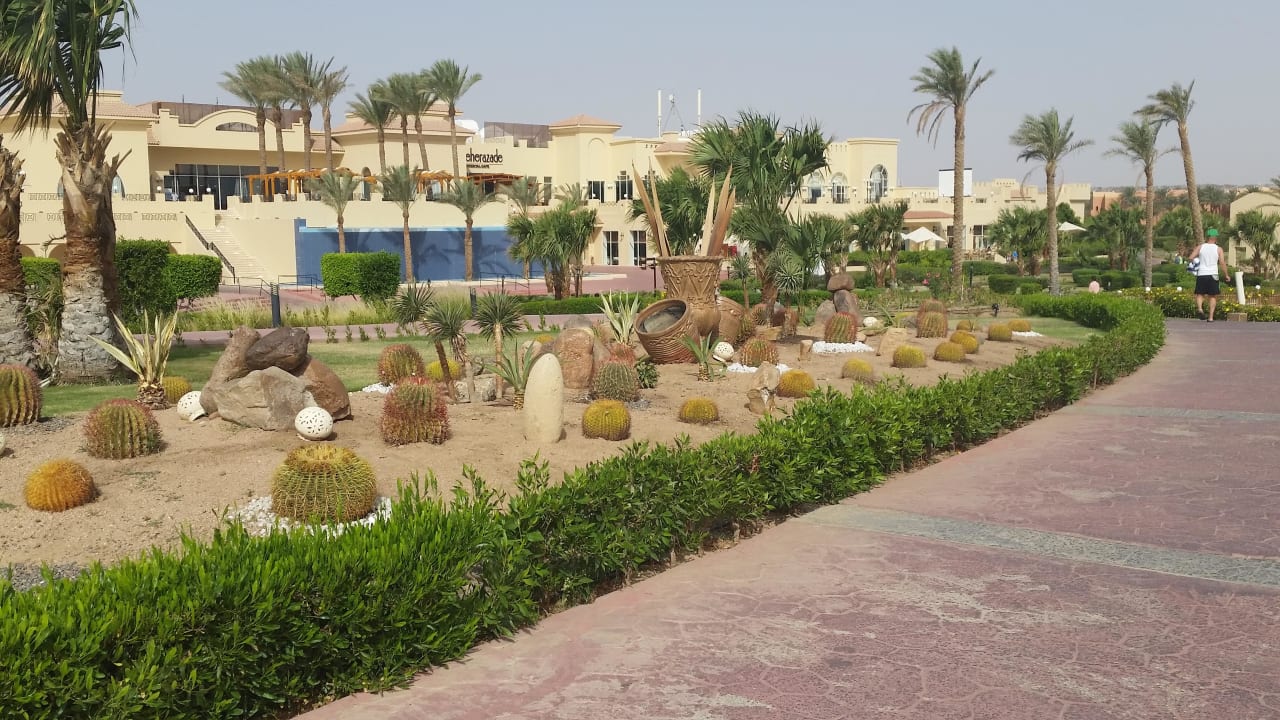 Garten Cleopatra Luxury Resort Makadi Bay