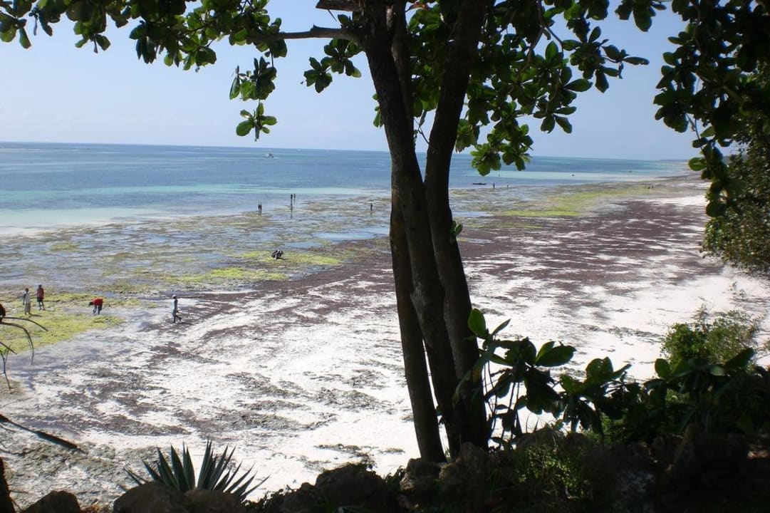 Strand bei Ebbe Baobab Beach Resort & Spa