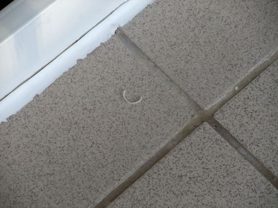 Abgeschnittene Zähennägel Hotel Grand Palladium Palace Resort, Spa & Casino