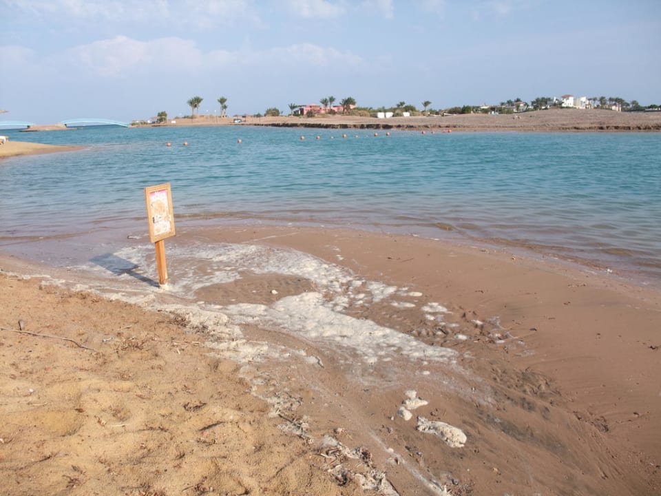 Lagune nach Regen verschmutzt Sheraton Miramar Resort El Gouna