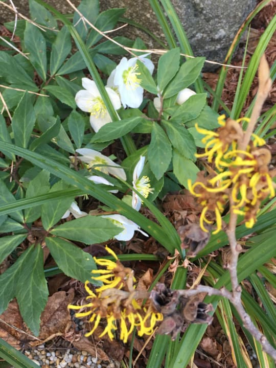 Gartenanlage RETTER Bio-Natur-Resort