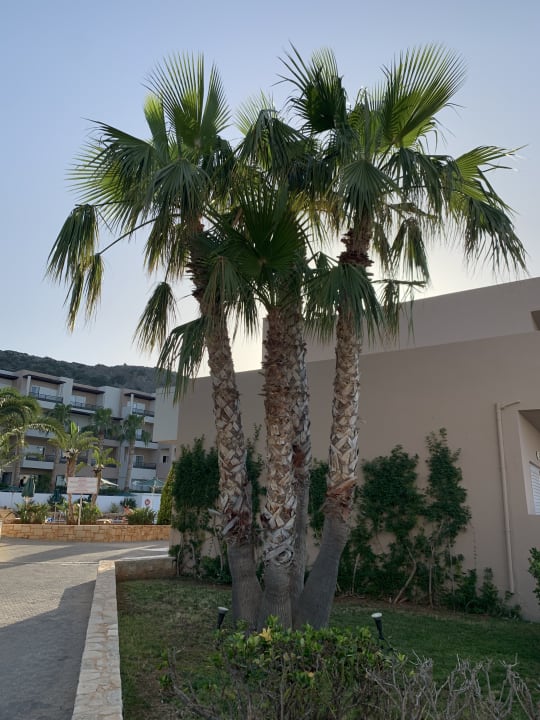 Gartenanlage Grand Hotel Holiday Resort