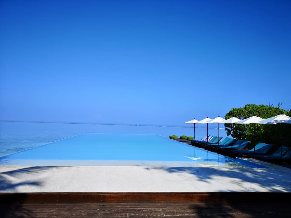 Pool Summer Island Maldives