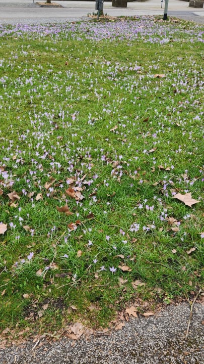 Gartenanlage Kurhaushotel Bad Salzhausen