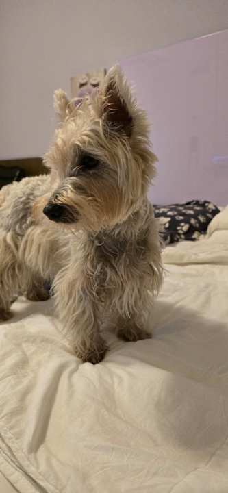 Zimmer Hotel Luciana