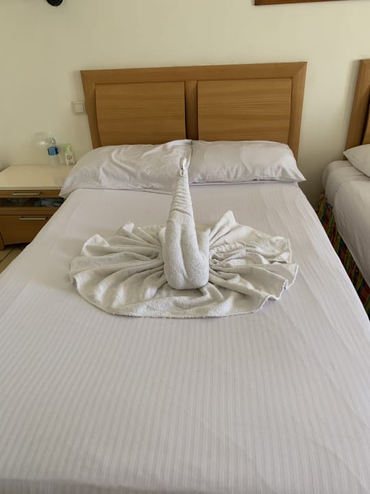 Zimmer Siva Sharm