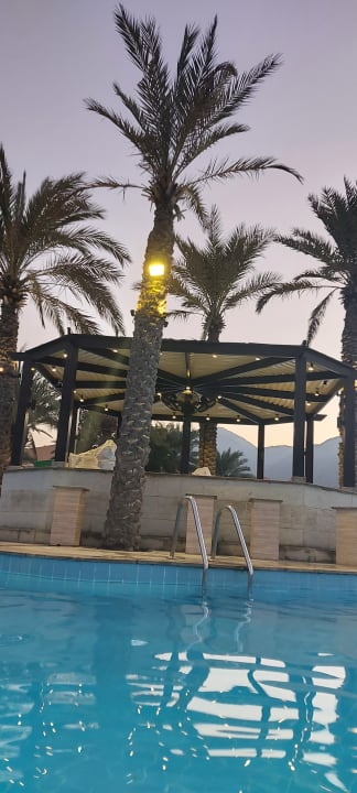 Pool Miramar Al Aqah Beach Resort