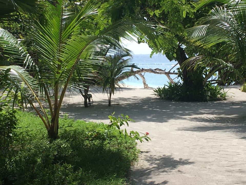 Garten Bandos Maldives