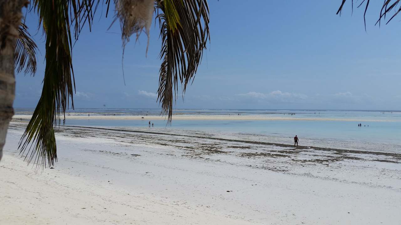 Bei Ebbe  Neptune Pwani Beach Resort & Spa