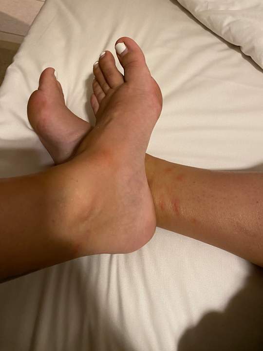 Zimmer Jaz Makadi Oasis Resort