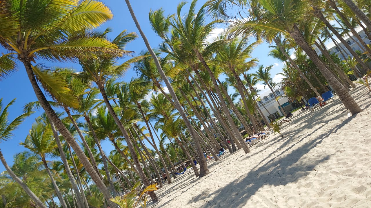 Strand Hotel Riu Palace Macao - Adults only