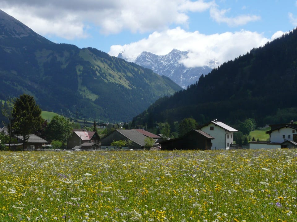 Ausblick von der Terrasse Gästehaus Wiesenruh