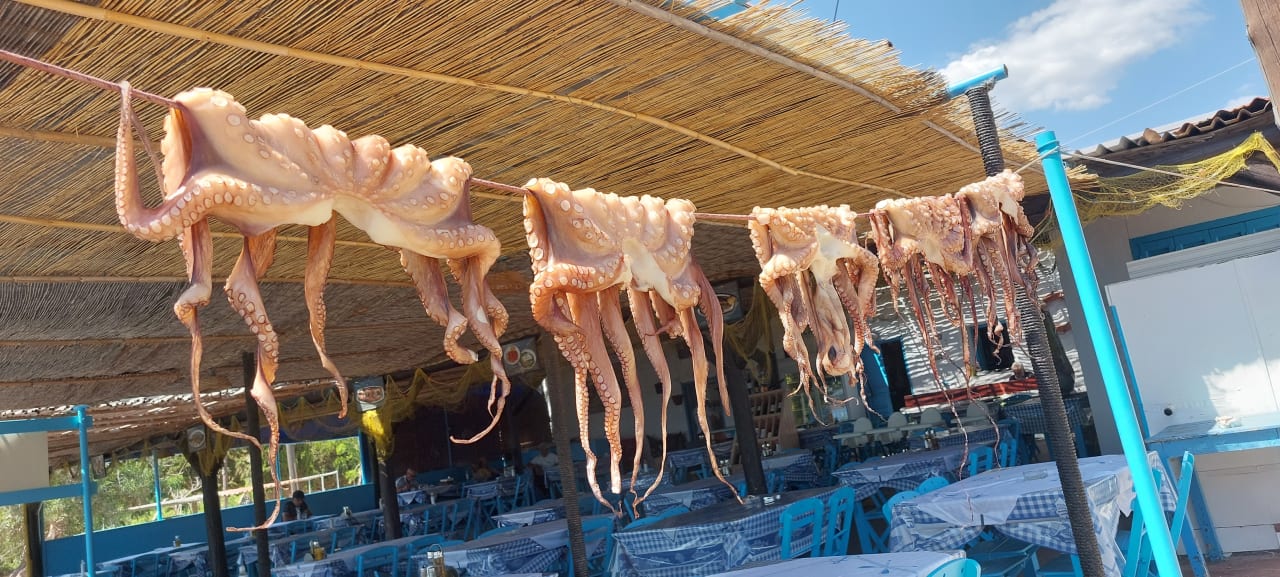 Gastro Asterias Beach Resort