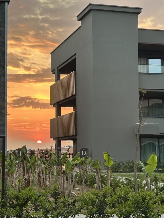 Gartenanlage Jacaranda Luxury Resort