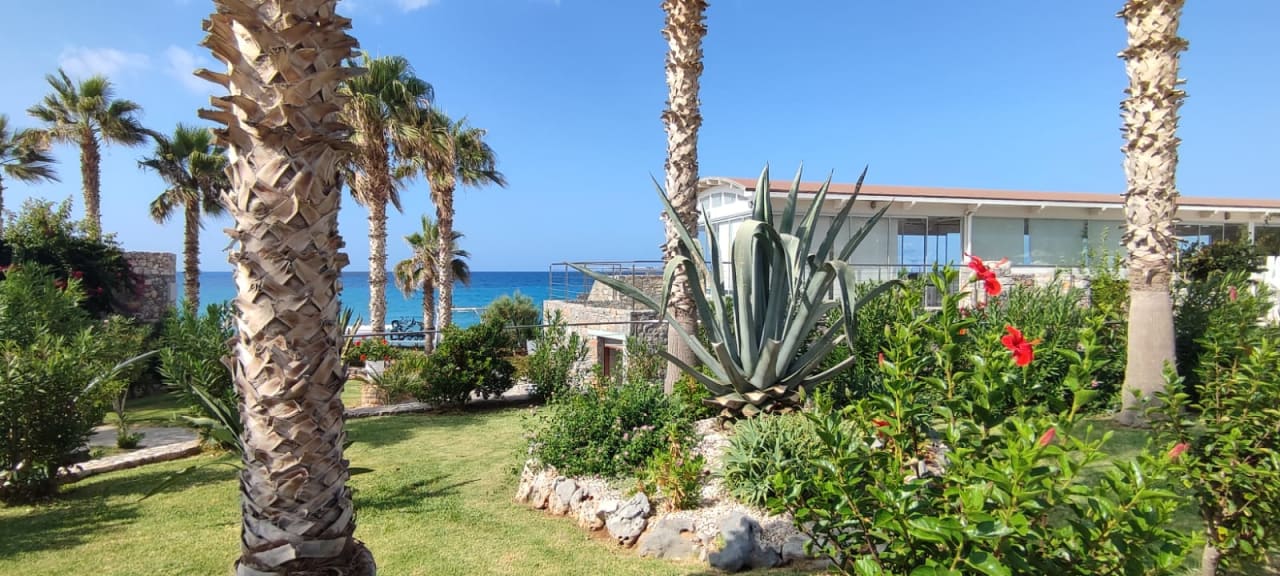 Gartenanlage Ikaros Beach Luxury Resort & Spa - Adults Only