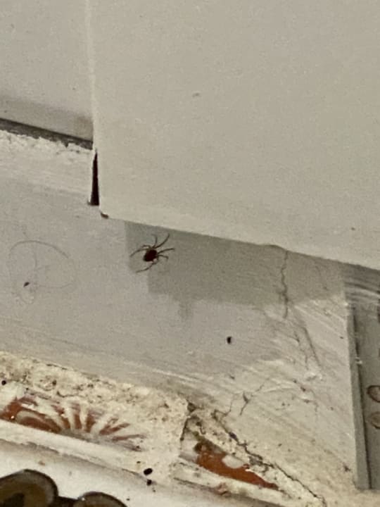 Zimmer Club Hotel Anjeliq