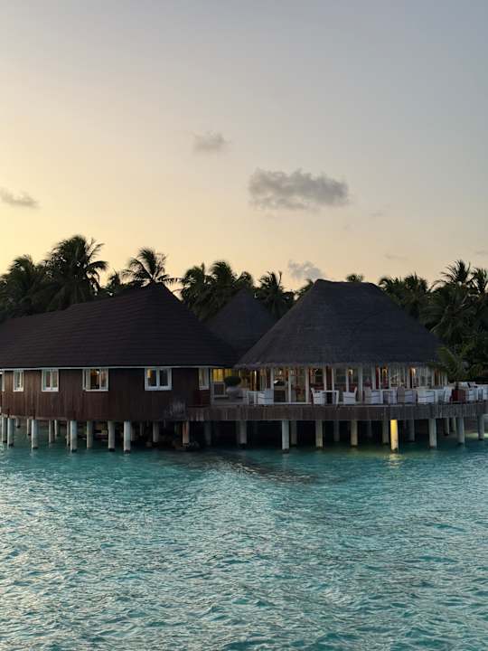 Gastro Sun Siyam Vilu Reef