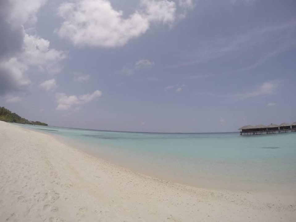 Strand  Filitheyo Island Resort