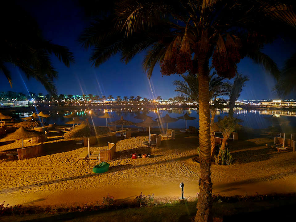 Ausblick Desert Rose
