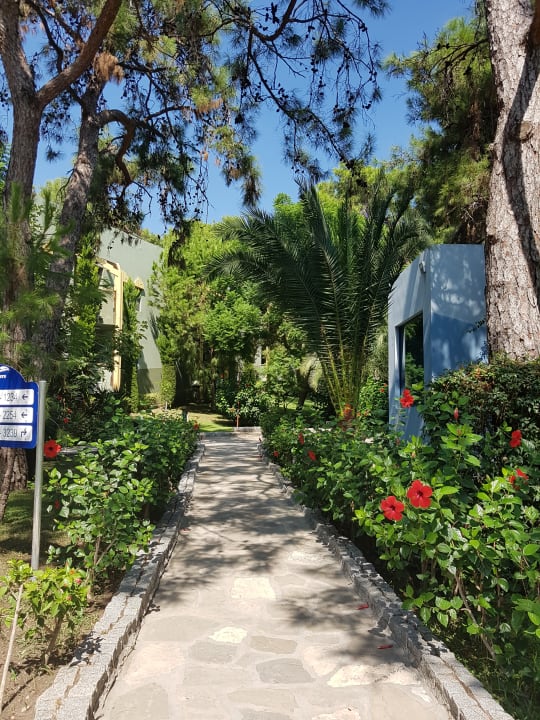 Gartenanlage Blue Waters Club