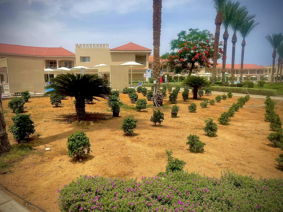 Gartenanlage Pickalbatros Aqua Blu Resort - Sharm El Sheikh