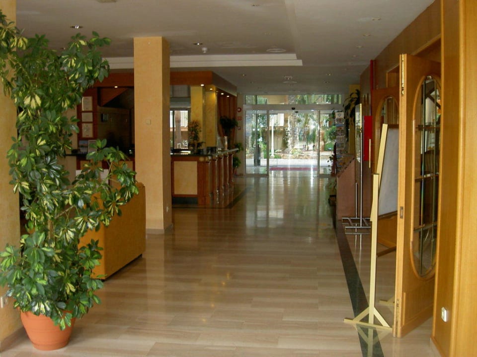 Rezeption Valentin Reina Paguera