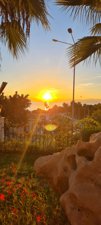 Gartenanlage Alba Queen Hotel